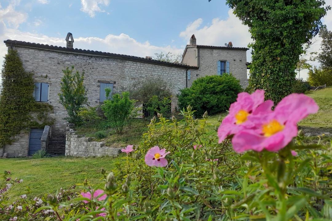 Photo of Others in Acqualagna