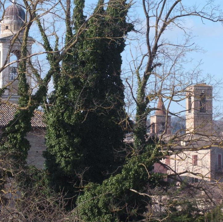 Photo of Others in Urbania