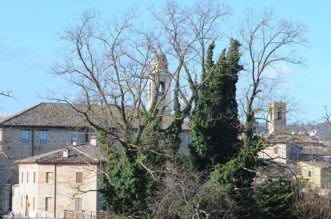 Photo of Buildings in Urbania