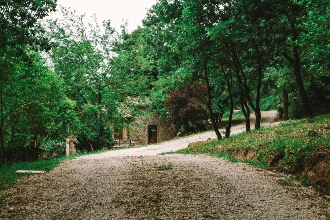 Photo of Others in Santa Reparata