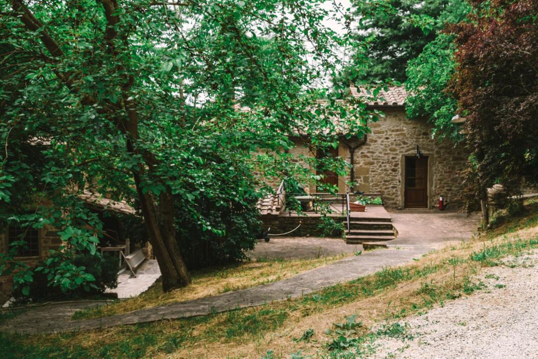 Photo of Others in Santa Reparata