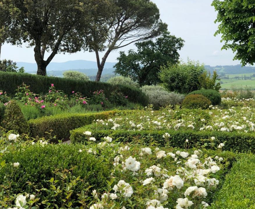 Photo of Others in Buonconvento