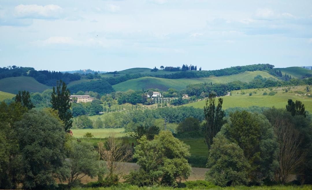 Photo of Others in Buonconvento