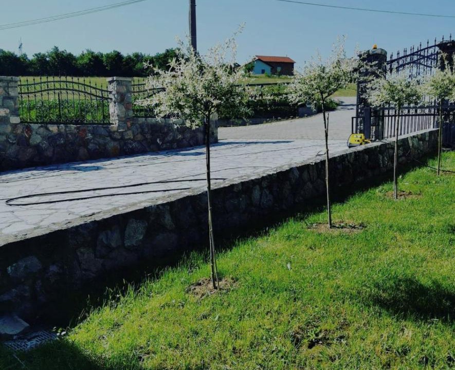 Photo of Others in Mladenovac