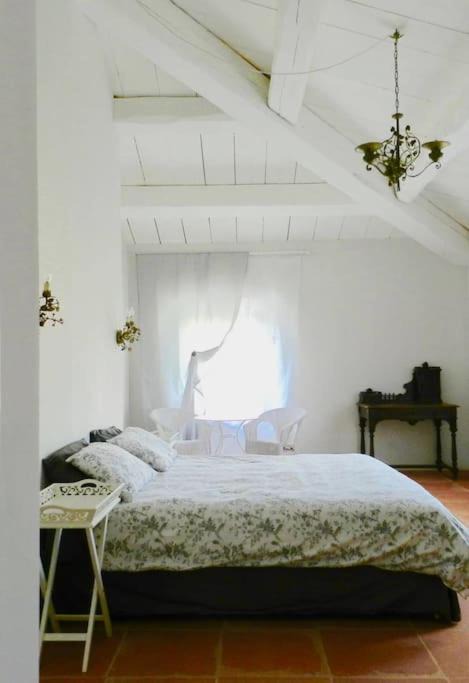 Photo of Others in Monteroni d'Arbia