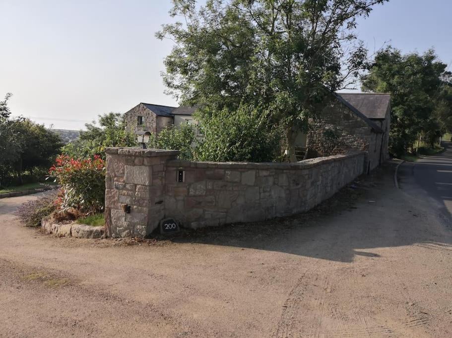 Photo of Buildings in Newtownards