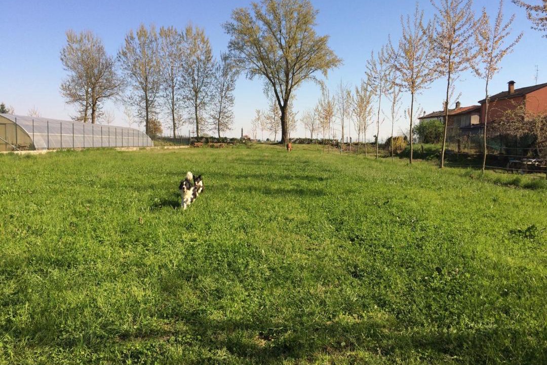 Photo of Outdoor in Borgo San Siro