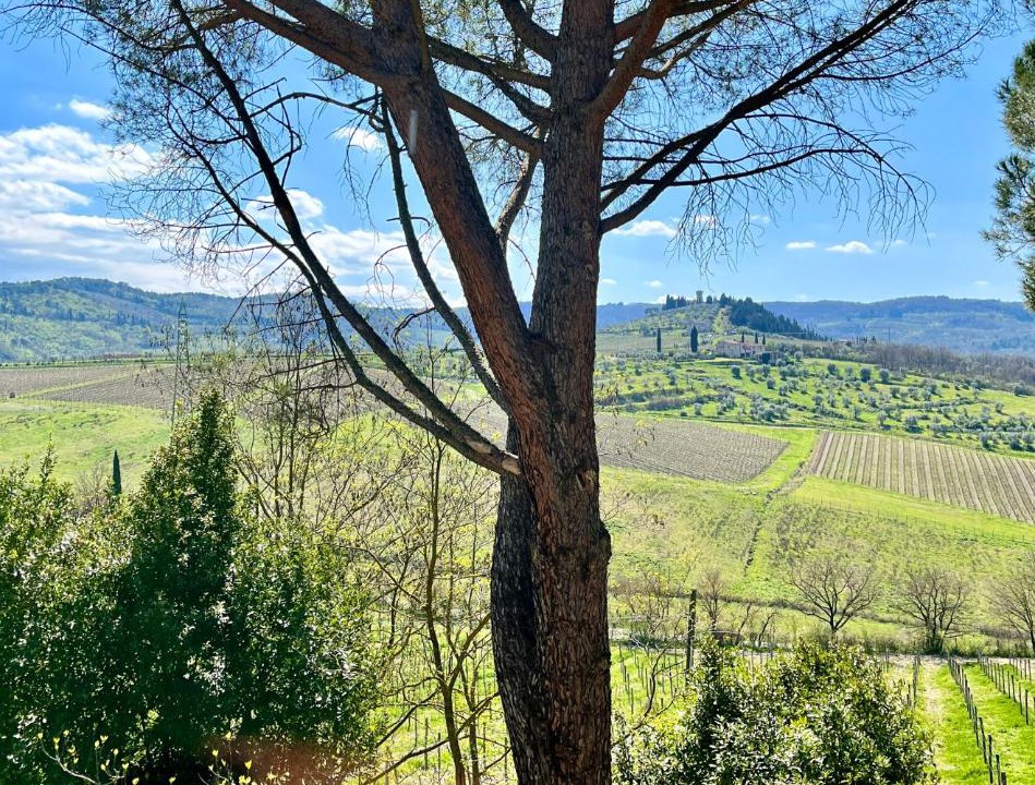 Photo of Outdoor in Le Bolle