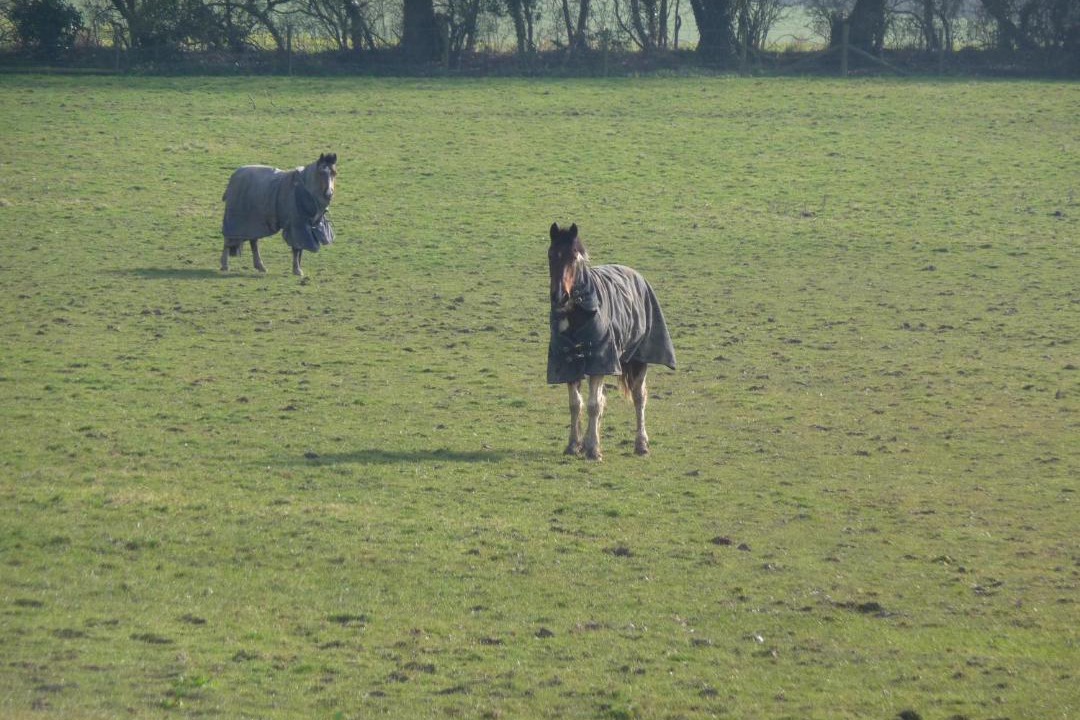 Photo of Others in Wootton Bridge