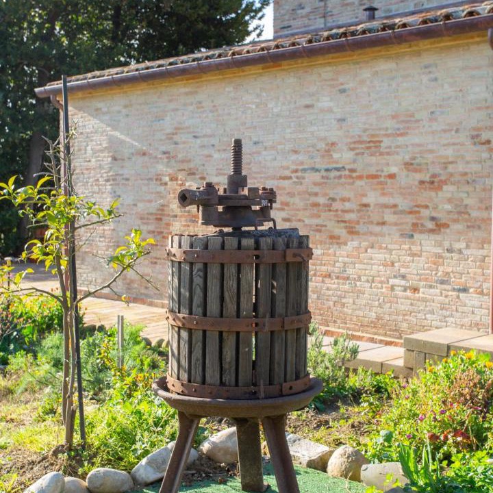 Photo of Others in Gradara