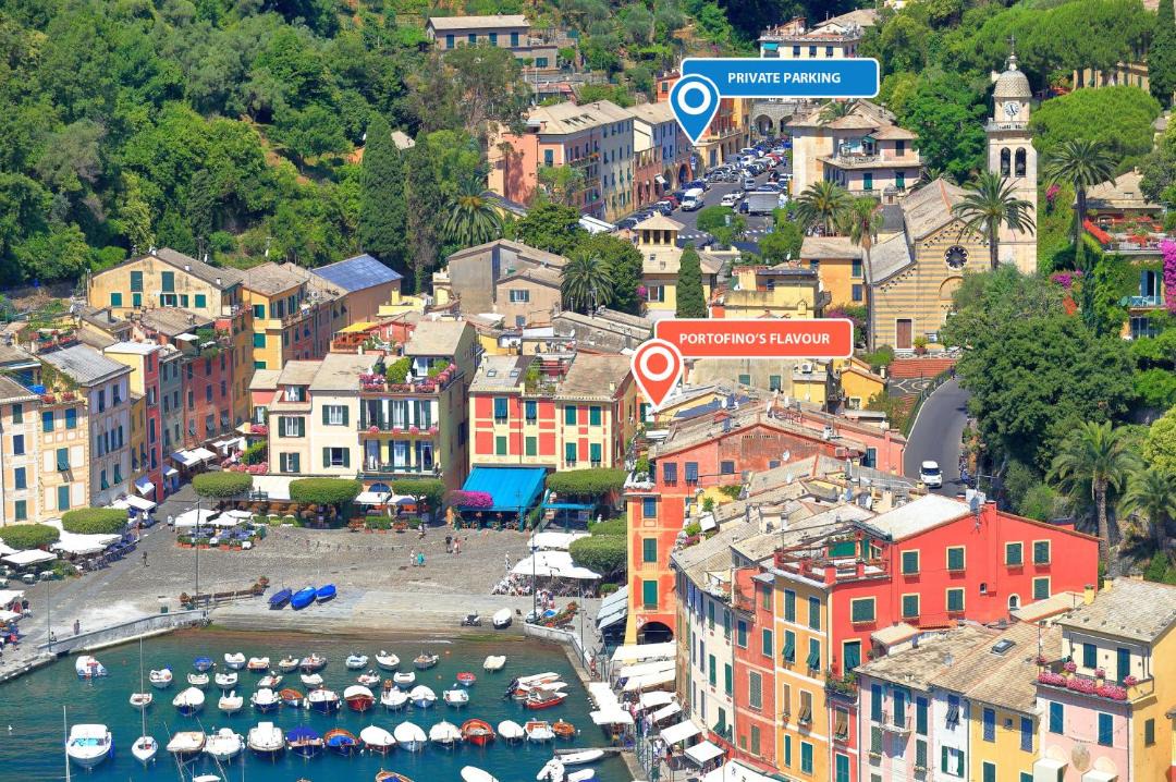 Photo of Others in Portofino