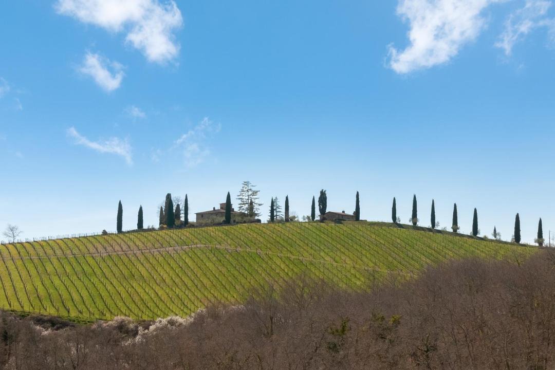 Photo of Others in Radda in Chianti