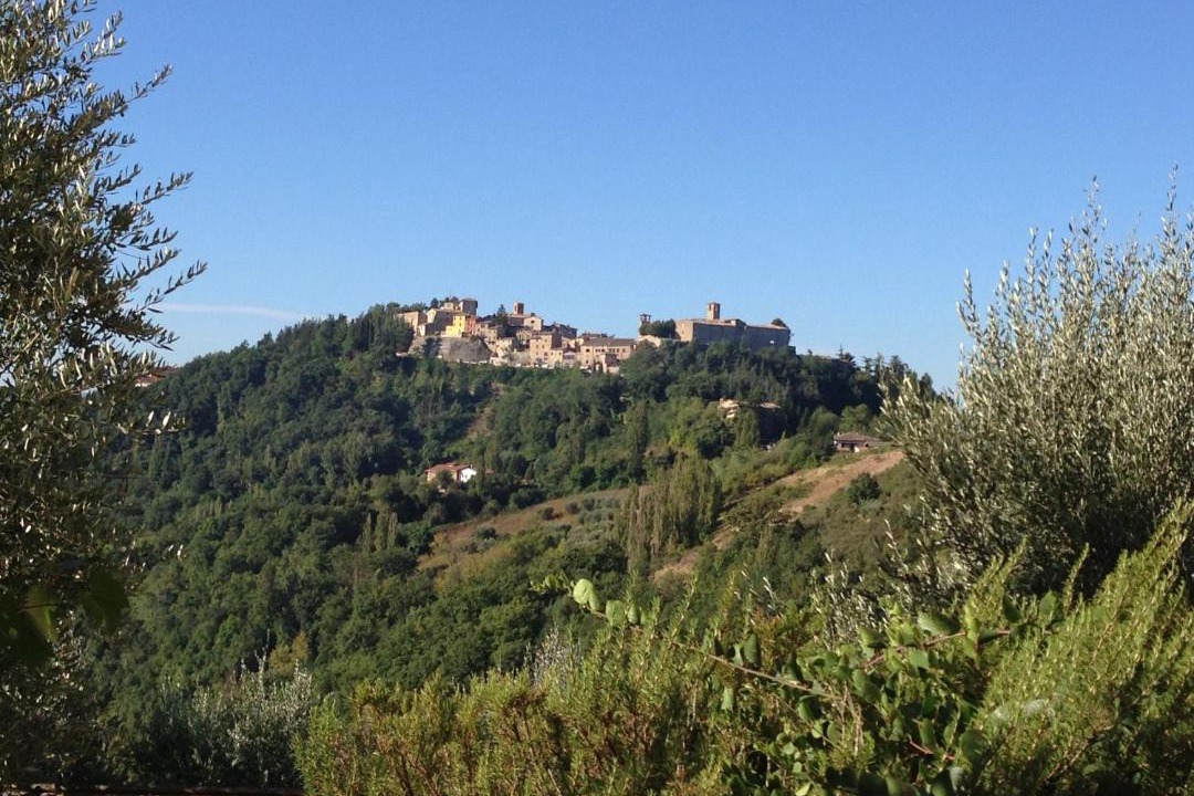 Photo of Others in Montone