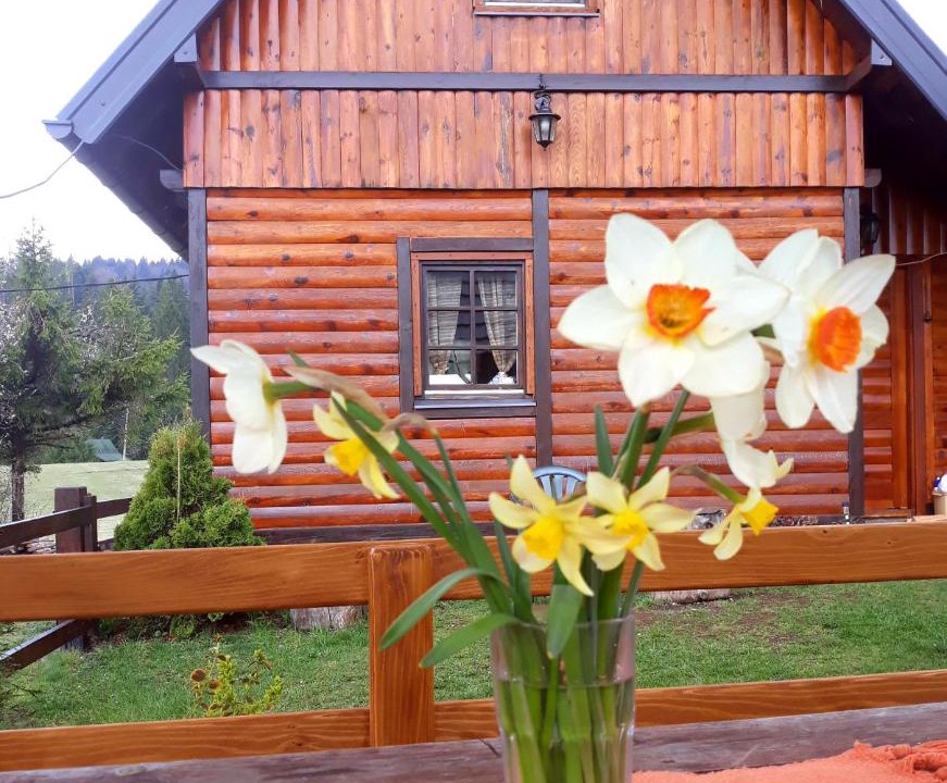 Photo of Others in Kremna