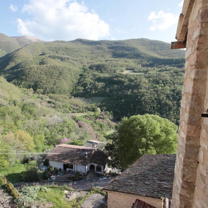Photo of Others in Vallo di Nera