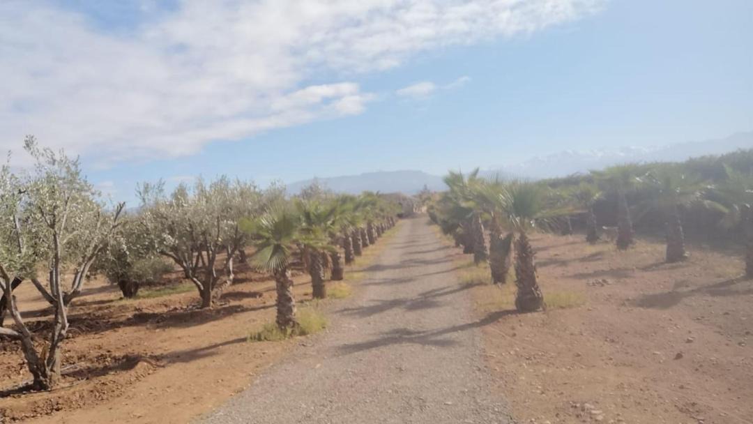 Photo of Outdoor in Sidi Abdallah Ghiat