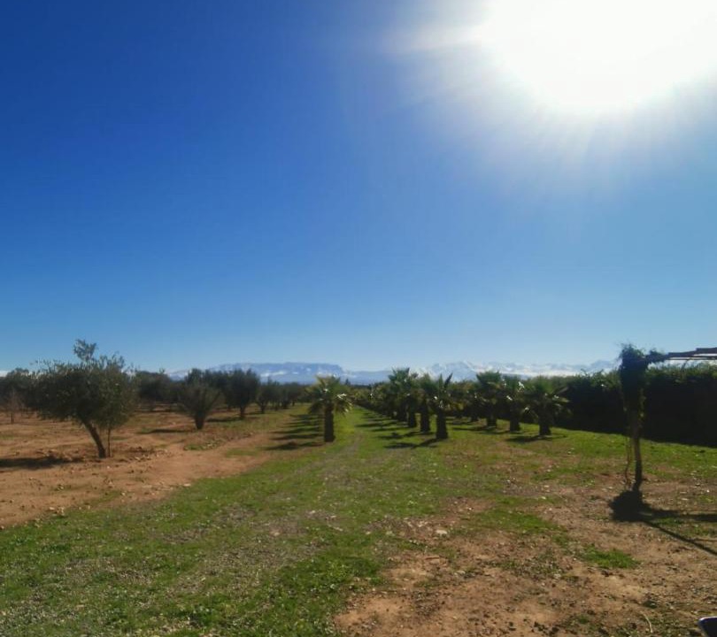 Photo of Outdoor in Sidi Abdallah Ghiat