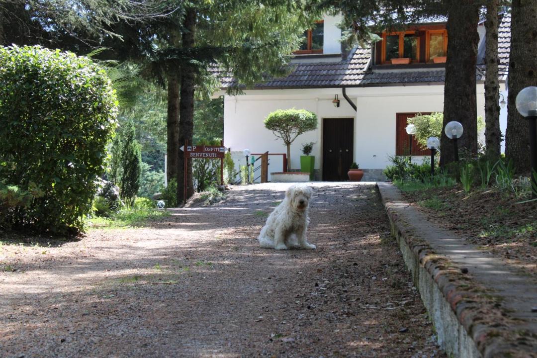 Photo of Others in Pignola
