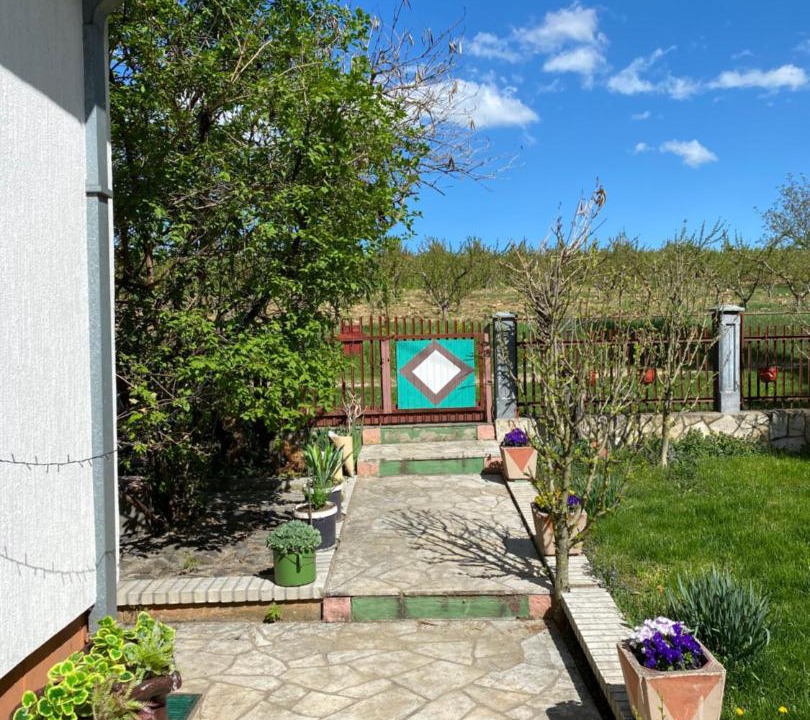 Photo of Others in Mladenovac