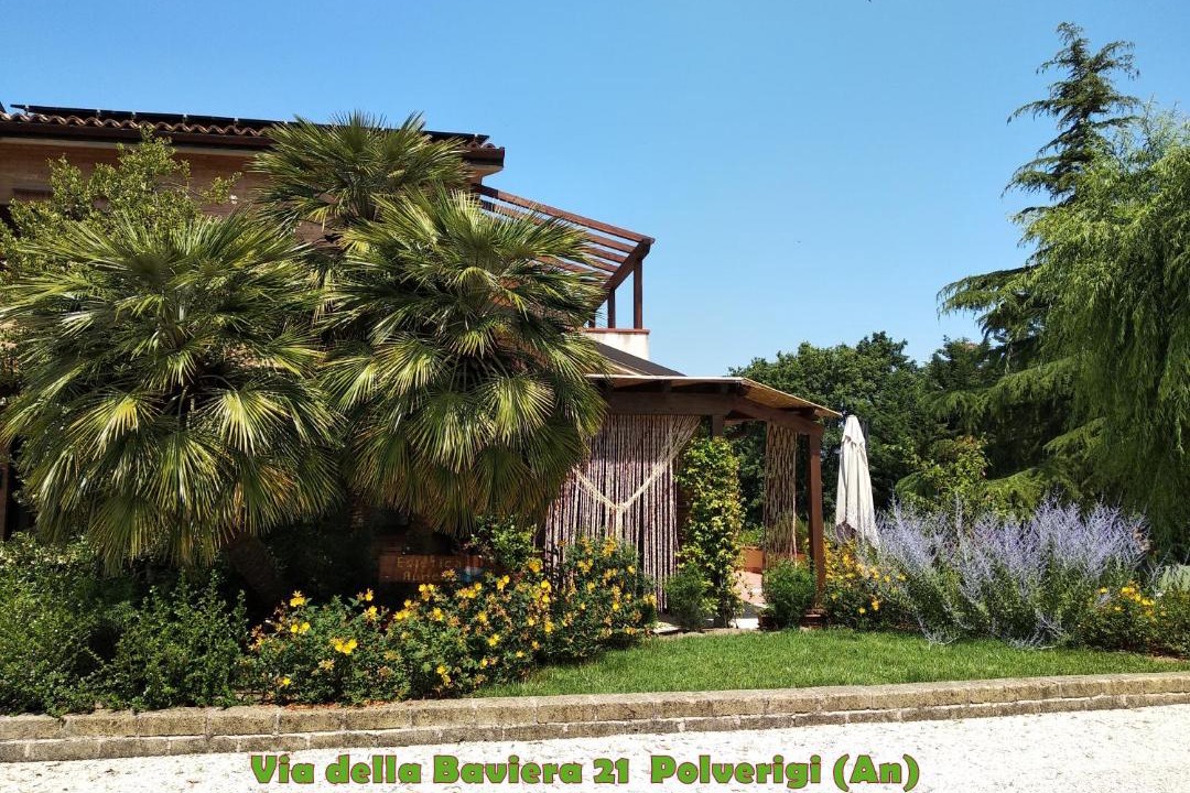 Photo of Others in Polverigi