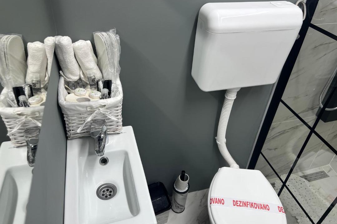 Photo of Bathroom in Banatski Karlovac