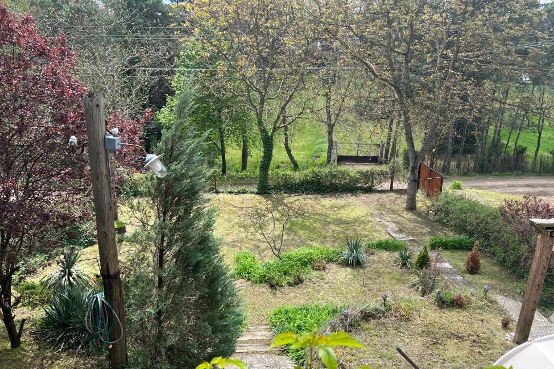 Photo of Outdoor in Banatski Karlovac