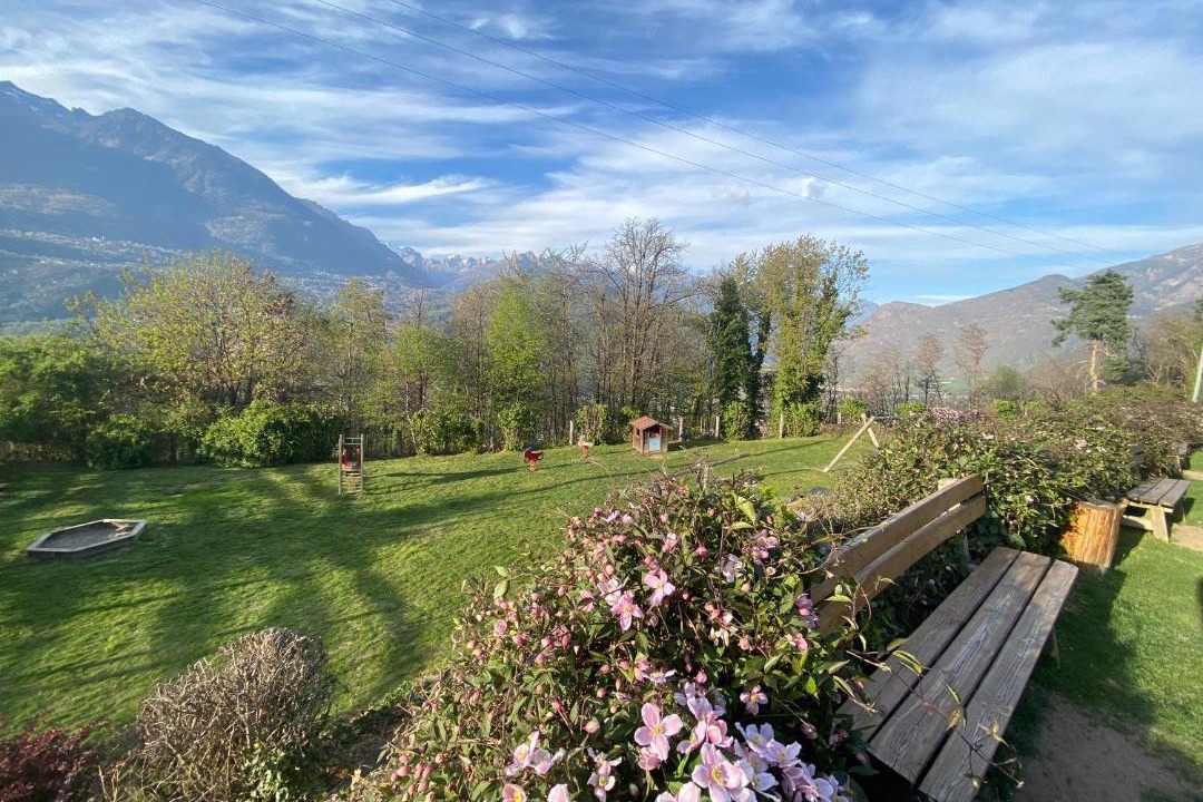 Photo of Others in Morbegno