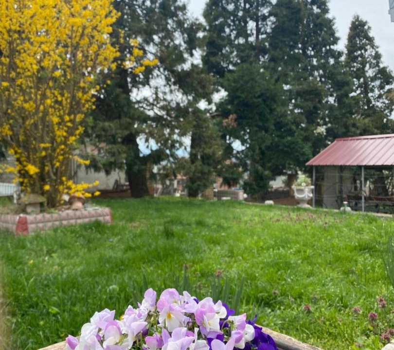 Photo of Outdoor in Mladenovac