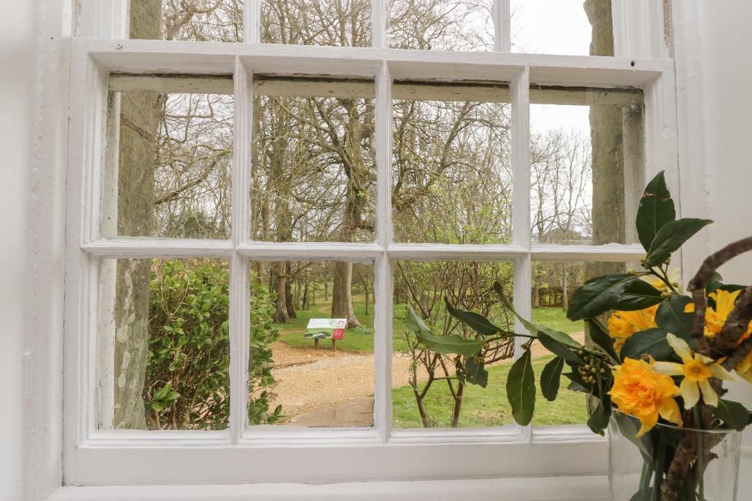 Photo of Others in Godshill