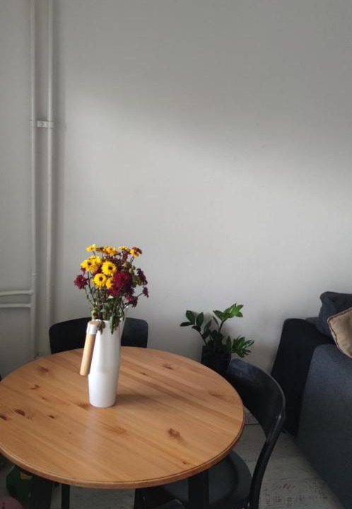 Photo of Livingroom in Novi Beograd