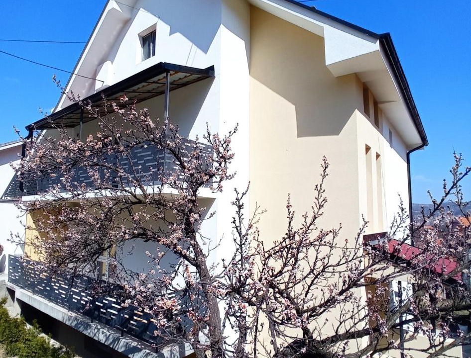 Photo of Buildings in Soko Banja