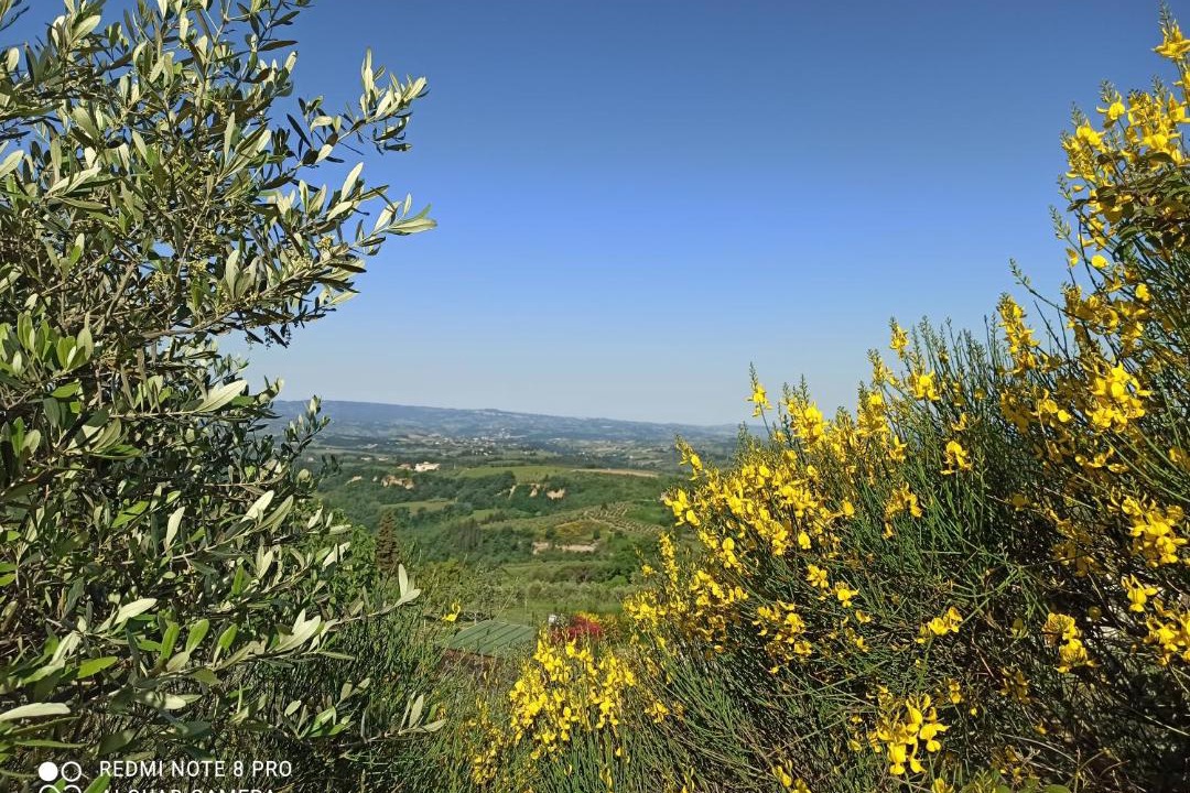 Photo of Others in Magliano