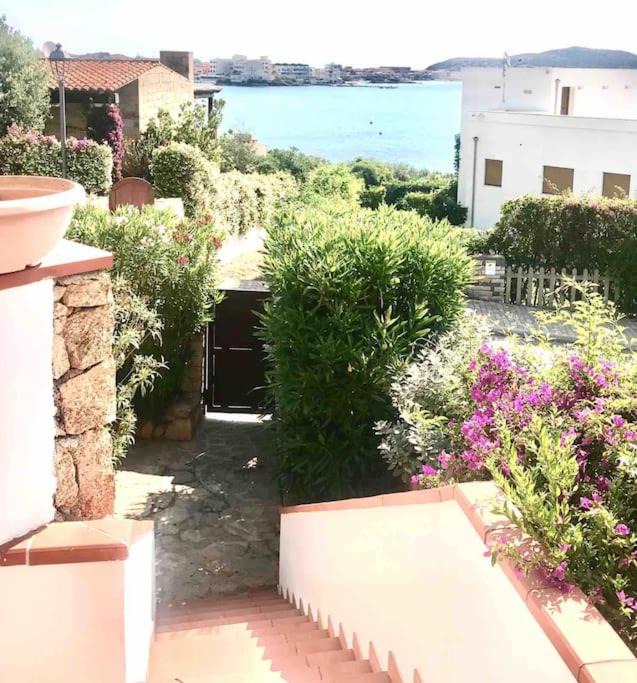 Photo of Others in Baia Caddinas