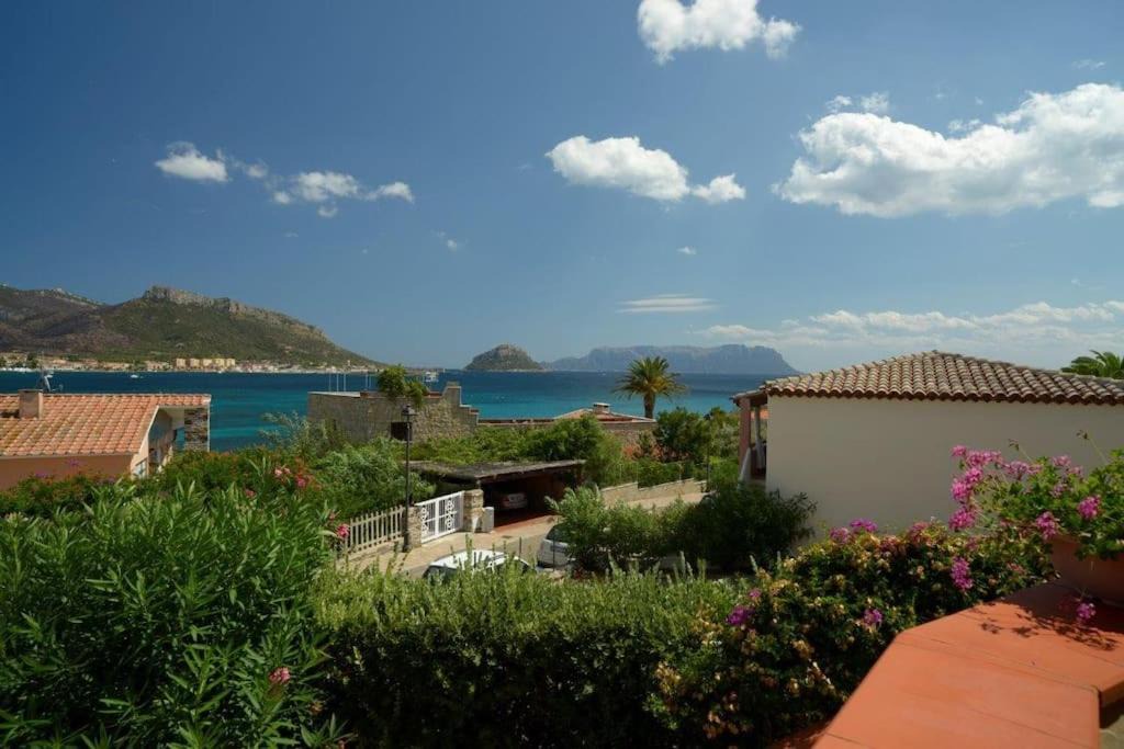 Photo of Others in Baia Caddinas