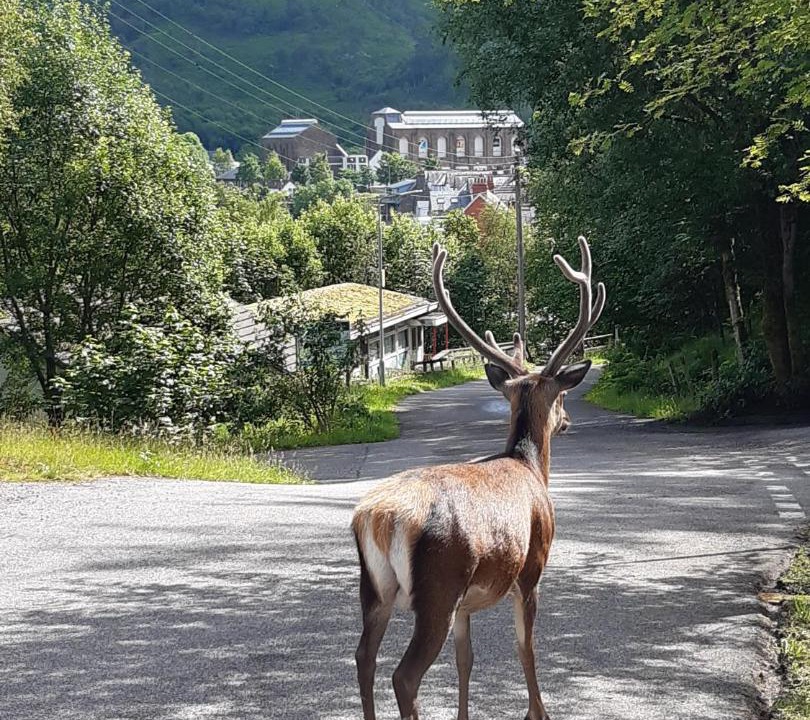 Photo of Others in Kinlochleven