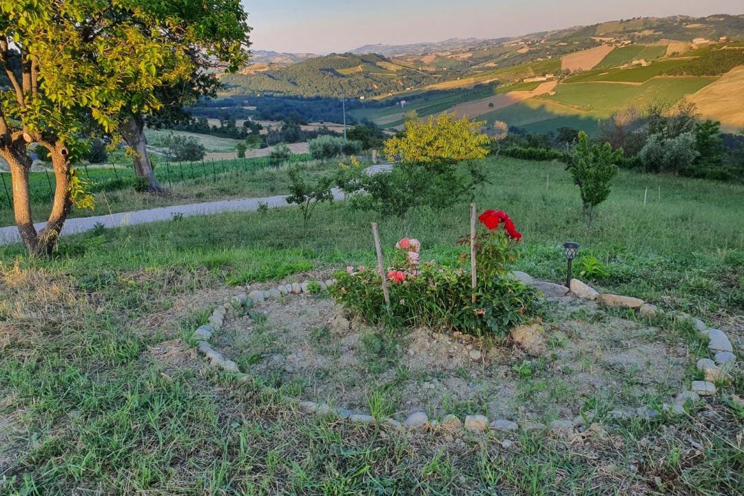Photo of Others in Montedinove