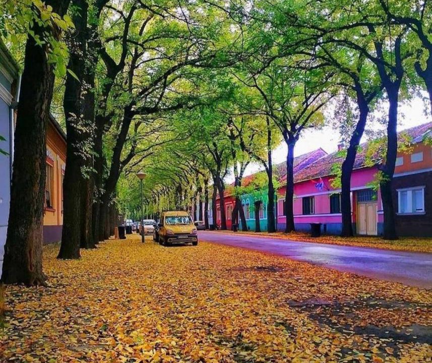 Photo of Others in Kikinda