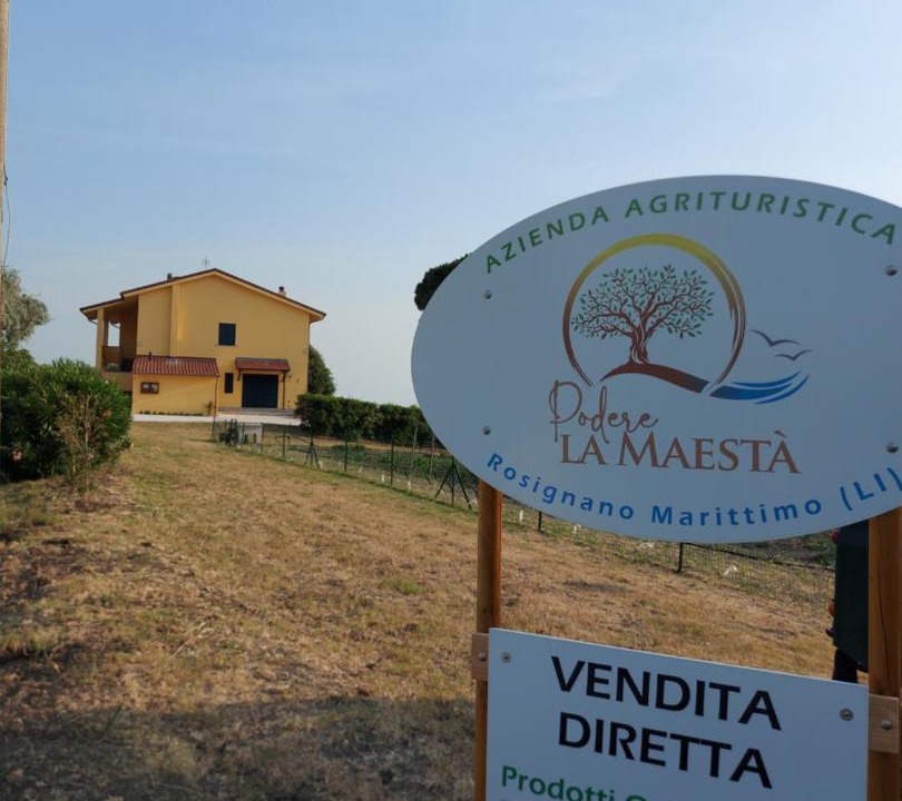 Photo of Others in Rosignano Marittimo