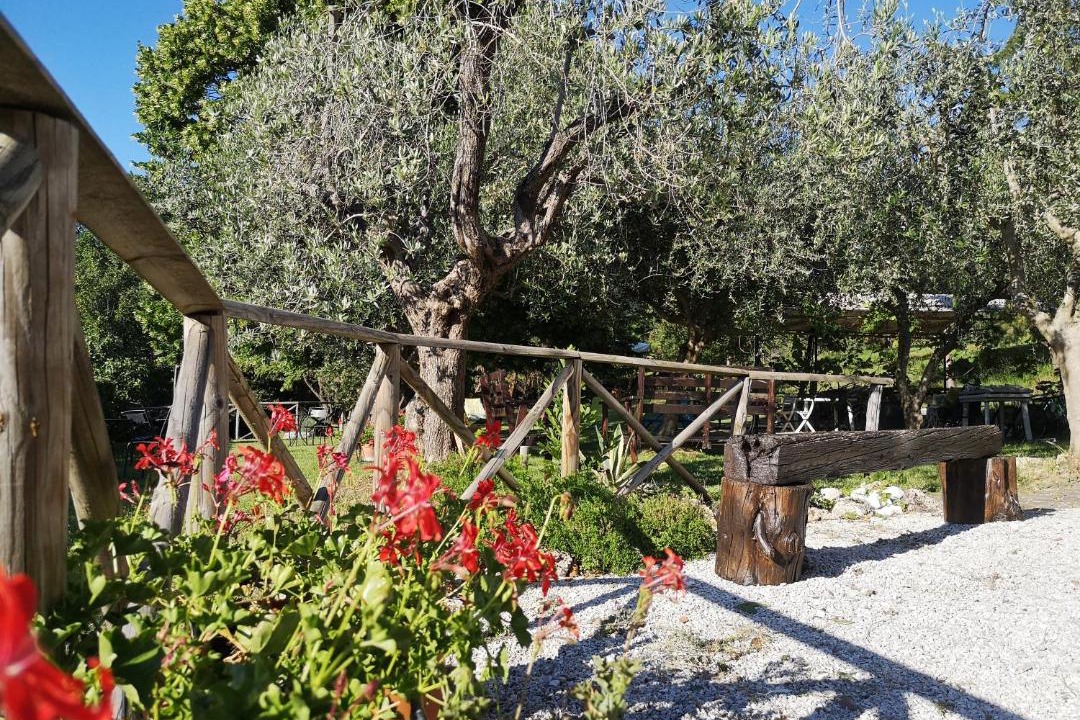 Photo of Others in Fossato di Vico