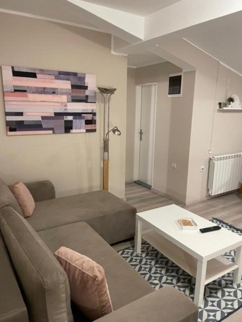 Photo of Livingroom in Pancevo