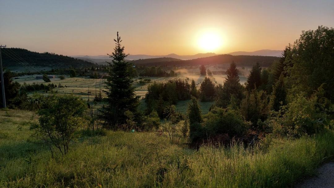Photo of Others in Zlatibor