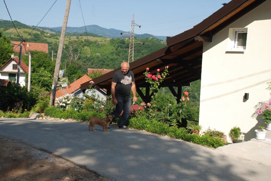 Photo of Others in Donji Milanovac