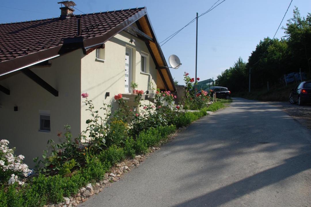 Photo of Others in Donji Milanovac