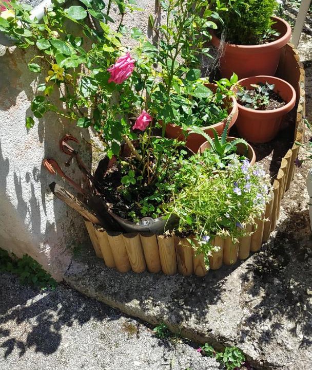 Photo of Others in Lisciano di Rieti