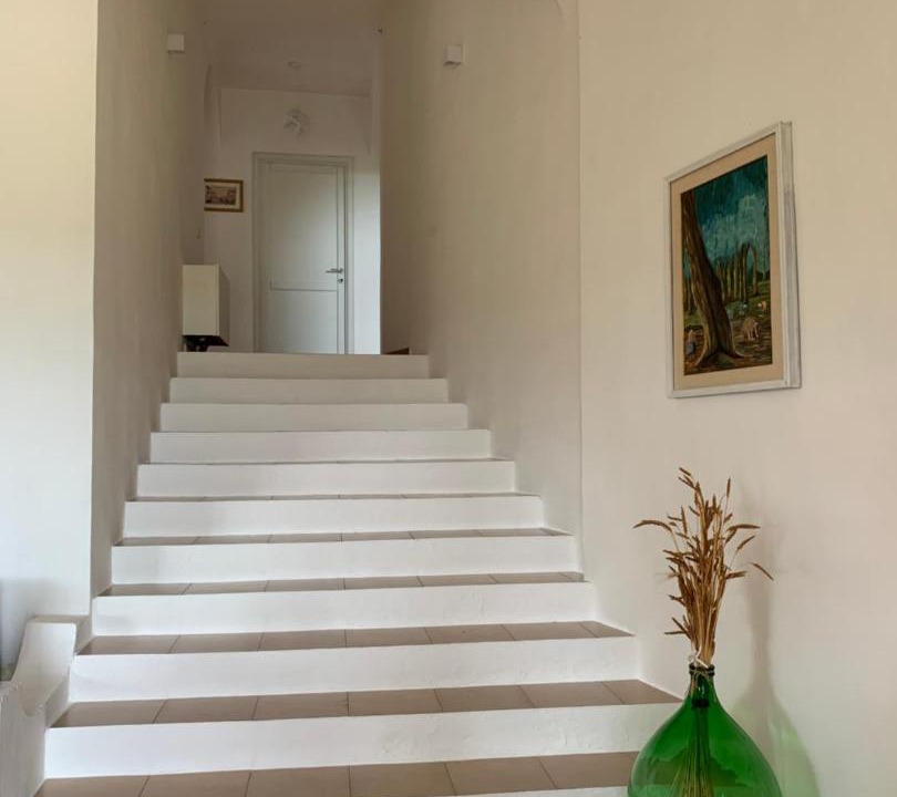 Photo of Others in Porto Istana