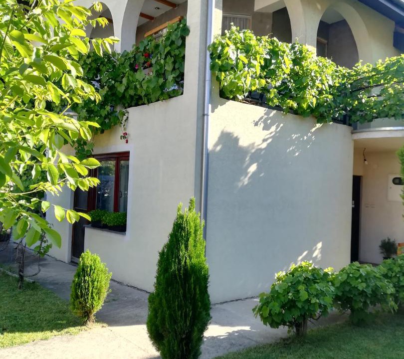 Photo of Buildings in Jagodina