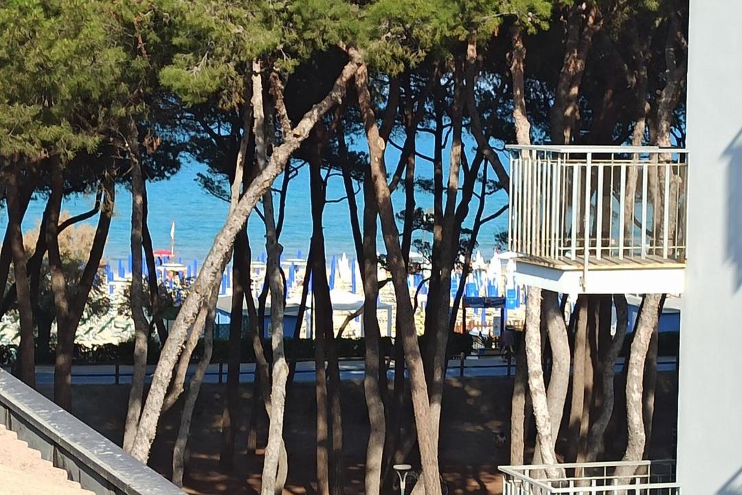 Photo of Others in Alba Adriatica
