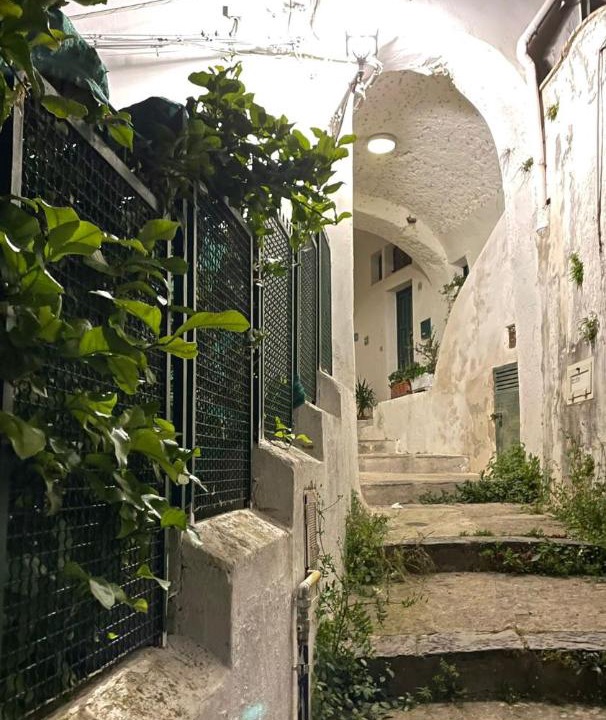Photo of Buildings in Albori