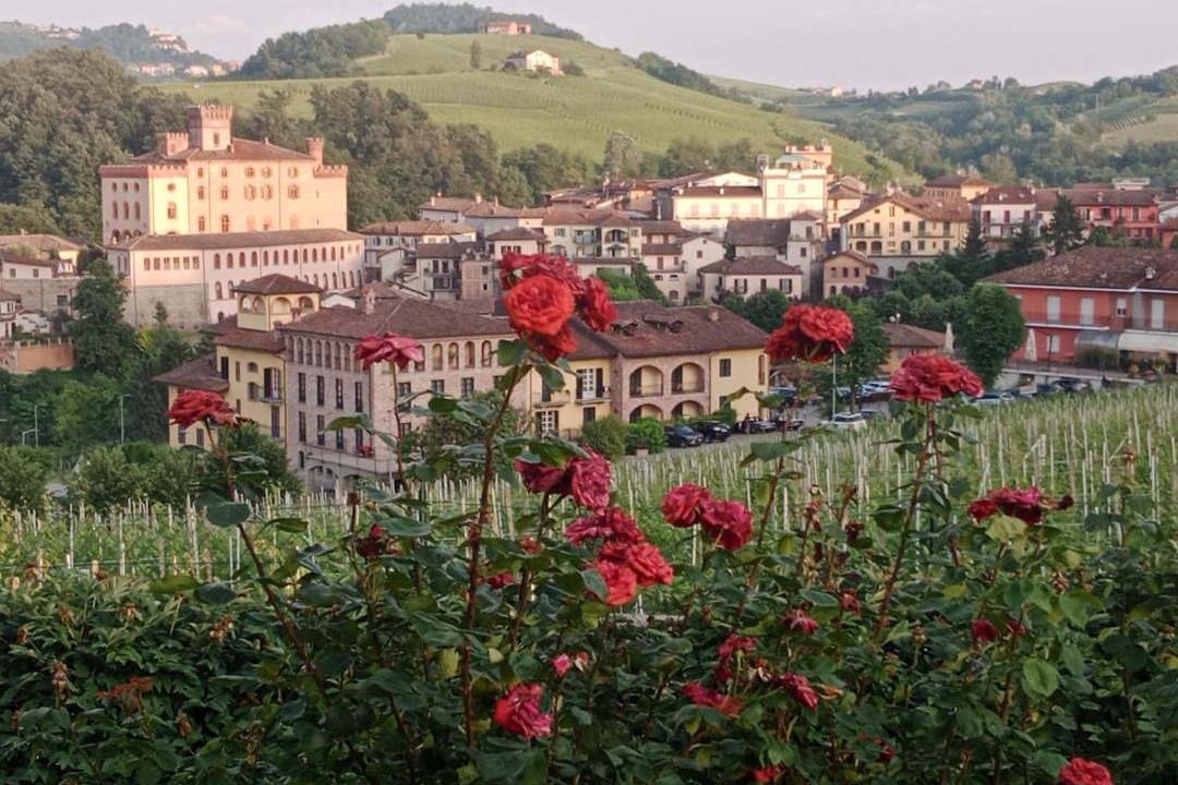 Photo of Others in Barolo