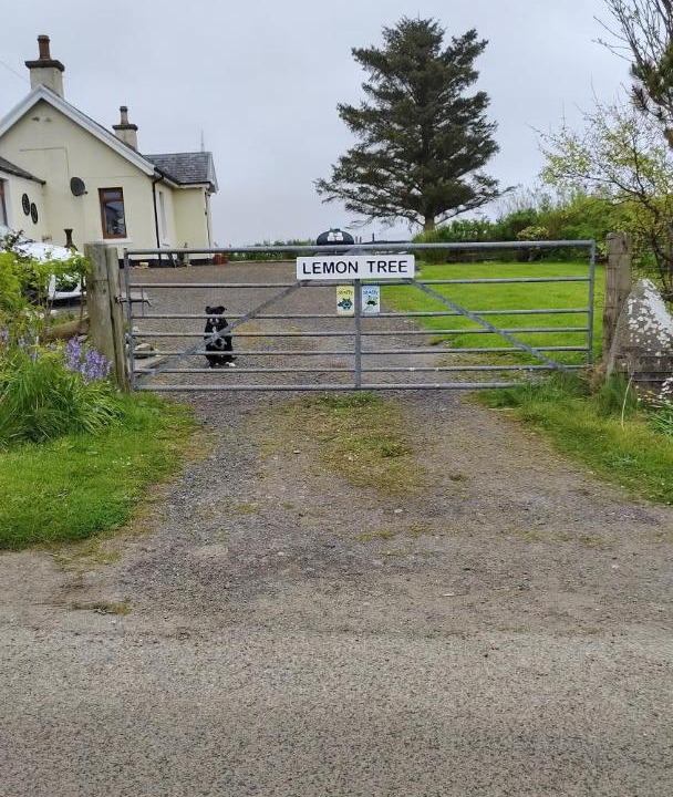 Photo of Buildings in Lybster